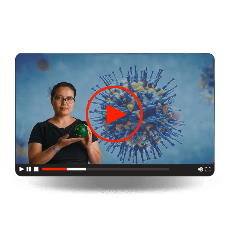 Toxoid Vaccines Video - A woman holding a green whiffle ball to demonstrate virus structures.